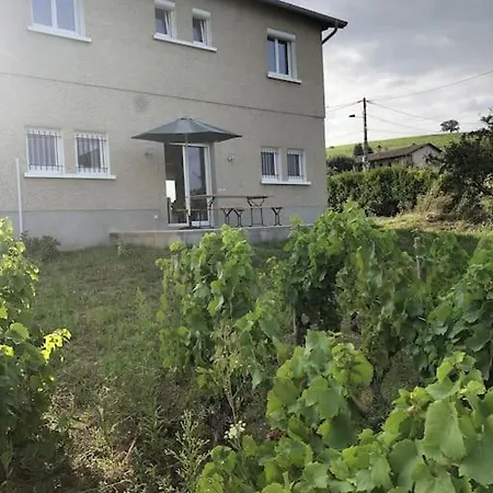 Petit Gite De Javernieres Rez De Jardin Villie-Morgon Exterior photo