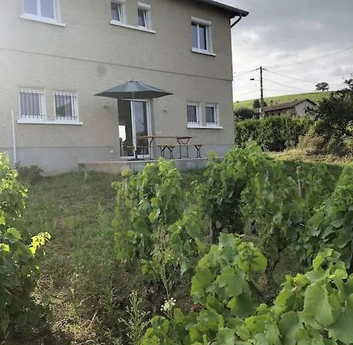 Petit Gite De Javernieres Rez De Jardin