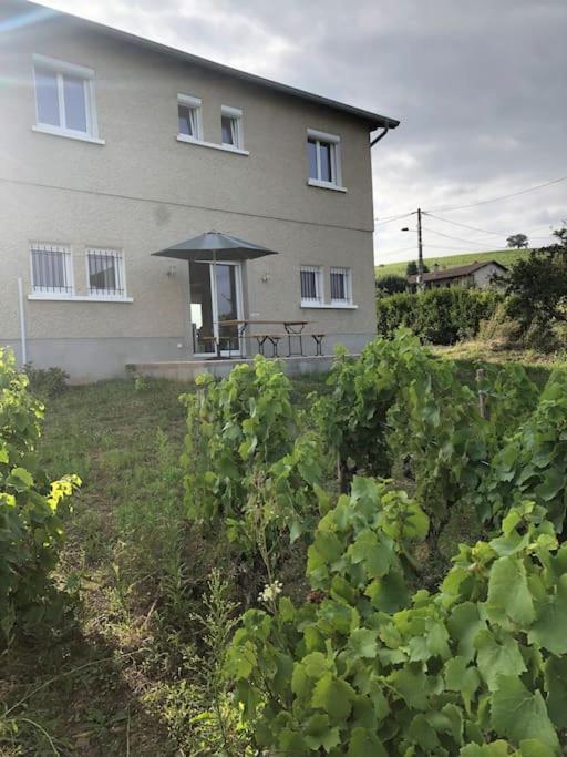 Apartment Petit De Javernieres Rez De Jardin *